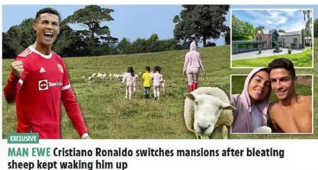 1631797245146035520.jpeg WechatIMG872.jpeg